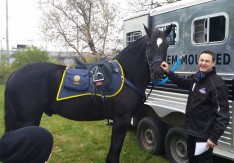 Devon B. Katzev, Straight Arrow Products president and CEO, at the company ground-breaking on October 23, with a horse from the Bethlehem Mounted Police.